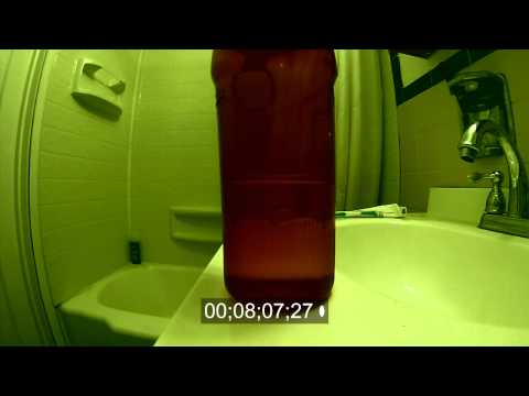 Mr. Regular Reads His Community Newsletter