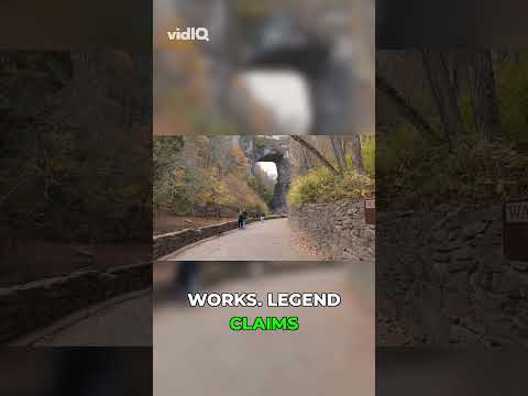 Jefferson Bought a Wonder for $160!