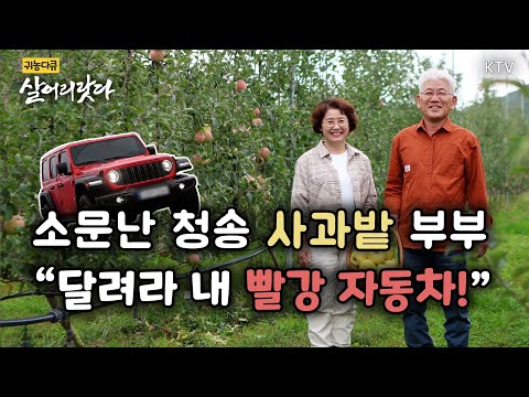 (Cheongsong, Gyeongbuk/Episode 367) The famous Cheongsong apple orchard couple: "Run, my red car!...