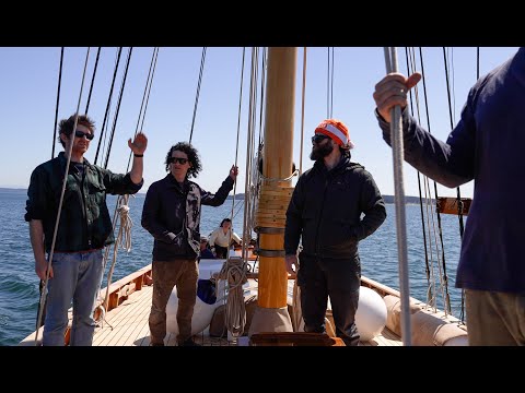 Tally Ho runs aground! Prop and gearbox issues.