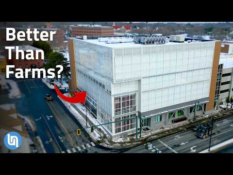 Why This Vertical Farm is 500x More Efficient Than Farming