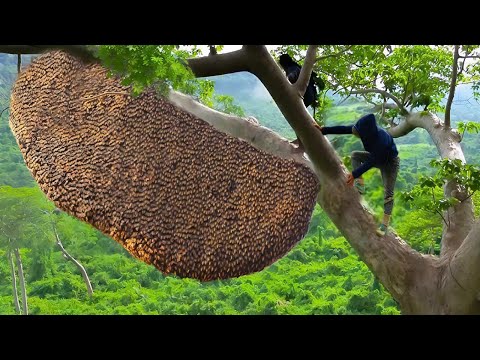 Most Skillful and Fastest Workers Ever!