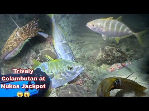 Ep 661 trivaly Colambutan at Nukos Jackpot π±π± night spearfishing Philippines