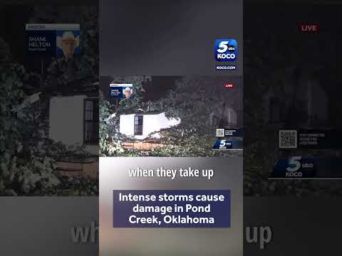Oklahoma storms leave behind tree damage in Pond Creek