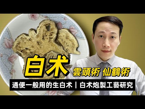 白术，北參南术的補氣健脾第一要藥，點解通便用生白术? 制過的白术有何不同？