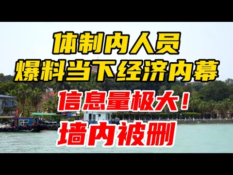 【墙内被删】体制内人员爆料当下经济内幕，信息量极大！