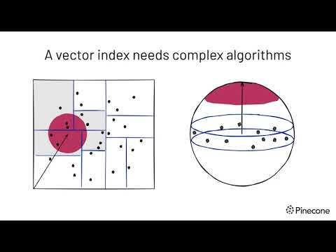 The Rise of Vector Data