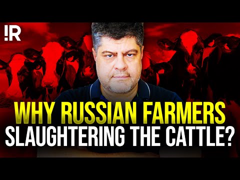 From Wheat to Weapon: How The War Impacts Russian Agriculture