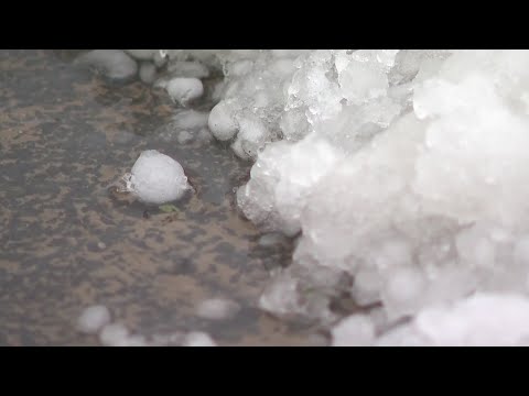 Denver homes damaged in Thursday hailstorm