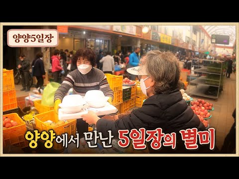 양양5일장의 별미/멋쟁이 할머니들/극강의 단 맛 !! 양양 못난이 배/송이버섯 칼국수/양미리튀김/은어튀김/21살에 오일장에서 성공한 사장님/수제강정/