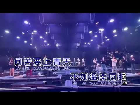 新鸳鸯蝴蝶梦LLLL999999