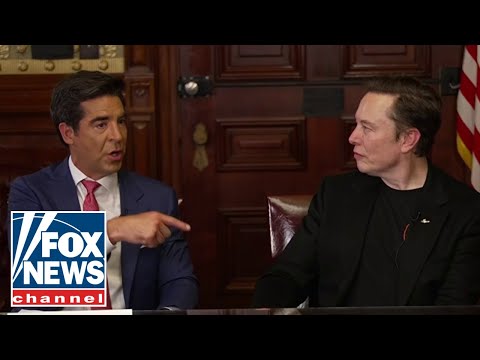 'FRAUD AT SCALE': Elon Musk exposes shocking waste that makes people 'numb'