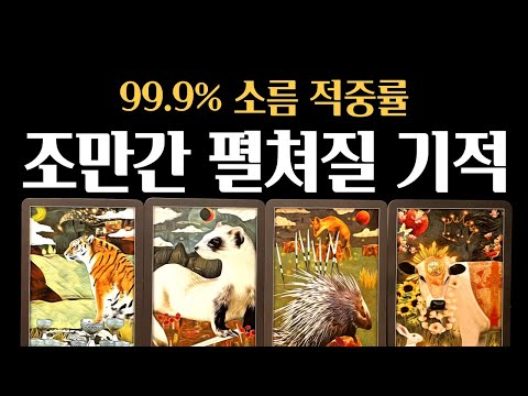 [타로] ⚡소름적중❗조만간 펼쳐질 기적같이 좋은 운 🎉진심으로 기원합니다