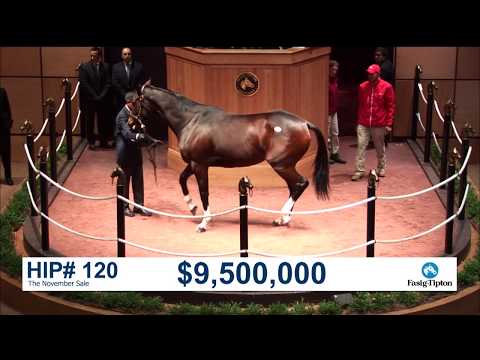 The November Sale (2017): SONGBIRD sells for $9.5M