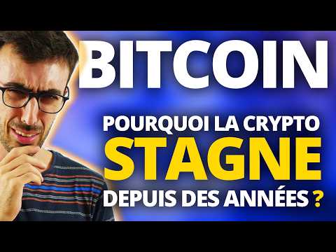 BITCOIN : Pourquoi la crypto stagne depuis des années ?