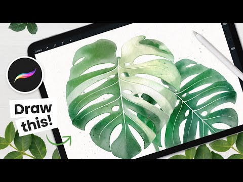 How To Draw: Watercolor Monstera Albo Leaf (Updated!) • Procreate Tutorial • Easy iPad Art