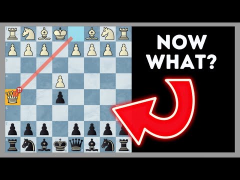 How To PUNISH Early Queen Attacks