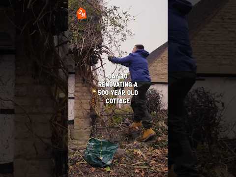 Never Ending Ivy &amp; Bramble - Day 10 Renovating an ABANDONED 500 Year Old Cottage