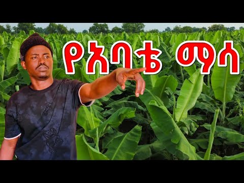 የአባቴን ማሳ ላስጎብኛችሁ | አባቴ ገበሬ ነው 