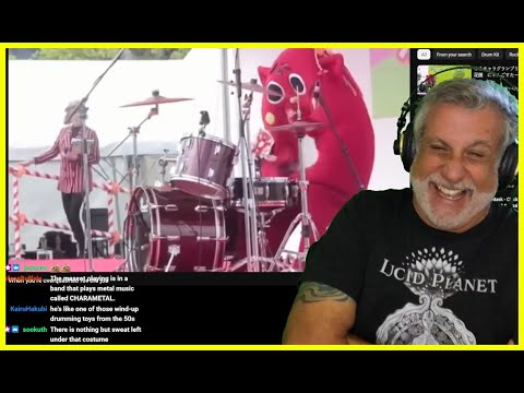 Metal Cat Drummer CRUSHING IT - Twitch Live Reaction Session