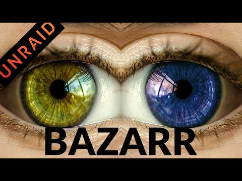 You Won't Believe How Easy Bazarr Subtitle Management Can Be