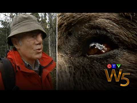 'Wrong place at the wrong time': Alberta man survives grizzly bear attack | From the Archives
