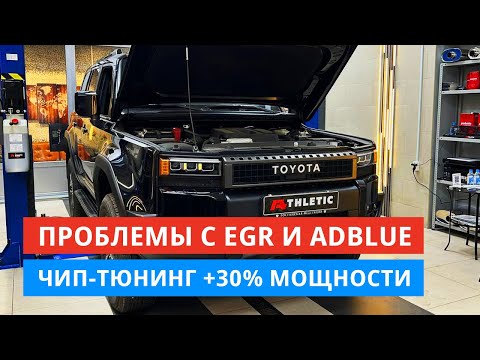 Prado 250. Antifreeze leak, EGR problems. Disabling AdBlue and removing the particulate filter. C...