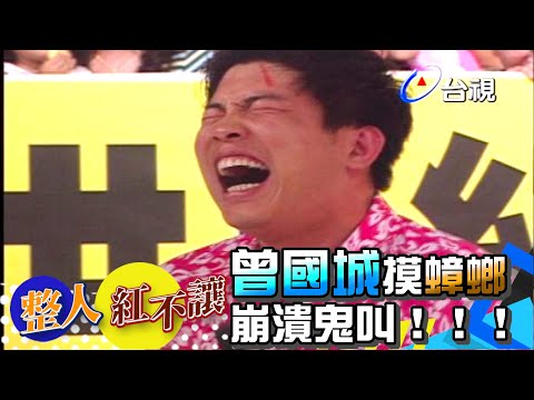 整人計中計  曾國城被反整摸蟑螂[台灣紅不讓-整人]精彩