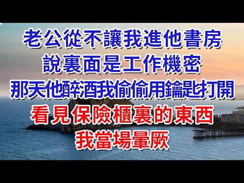 老公從不讓我進他書房，說裏面是工作機密，那天他醉酒我偷偷用鑰匙打開，看見保險櫃裏的東西，我當場暈厥#人际关系 #为人处世 #人生感悟 #生活经验 #情感故事