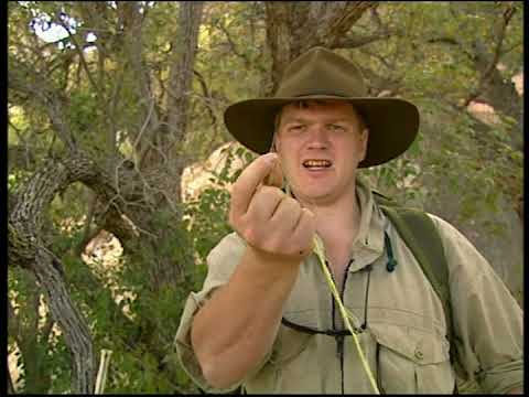 The Arizona Desert (2002) Ray Mears' Extreme Survival