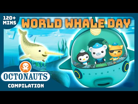 @Octonauts -  🤿 Riding with Whales 🐋 | 2 Hours+ Compilation | Underwater Sea Education for Kids