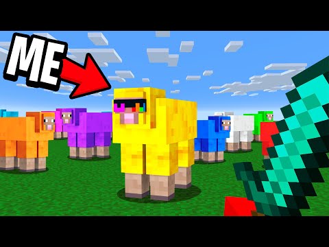 Modded Animal Hide and Seek In Minecraft