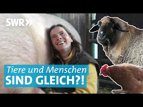 Die Gnadenhof Doku: Vom Schwein und Pferd bis hin zu ehrenamtlichen Helfern auf dem Argenhof