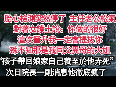 胎心檢測突然停了 主任老公松了氣對著女護士說：你做的很好這次晉升我一定會提拔你殊不知那是我同父異母的大姐“孩子帶回娘家我們自己養至於他弄死”次日院長一則消息他徹底瘋了【顧亞男】【大女主】【婚姻自主】