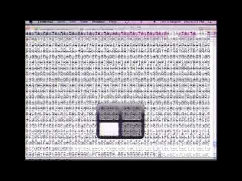 Overflow Exploitation, Step By Step