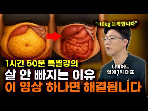 다이어트 총정리 풀버전 | 식이섬유, 단백질, 지방 이렇게 섭취하세요. 생활습관, 마인드셋 이렇게 하세요.