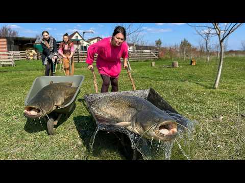 What to Cook with River Catfish? A Simple and Delicious Recipe for the Whole Family
