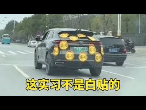 強行變道的現世報！面對加塞逆行，老司機這做法太解氣了！