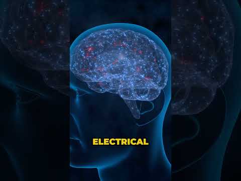 The 3 Nutrients You Need For Optimal Health #shorts #nutrition #magnesium