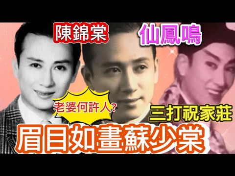 眉目如畫蘇少棠, 全天候服待師傅陳錦棠; 娶妻是何許人？創立堂皇劇團, 移美專心經營飲食生意