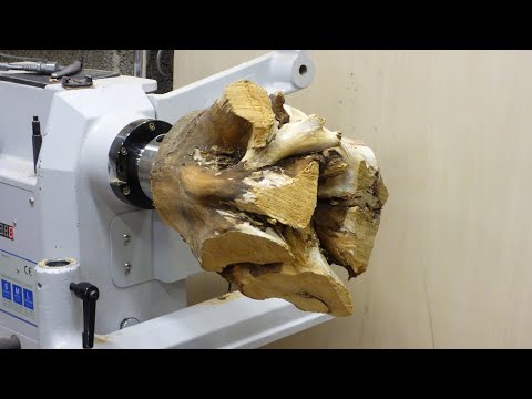 Woodturning - Olive Wood Root