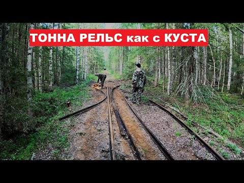 Застряли в БОЛОТЕ. Андрюха поймал УДАЧУ за хвост. ТОННА РЕЛЬС как с куста.