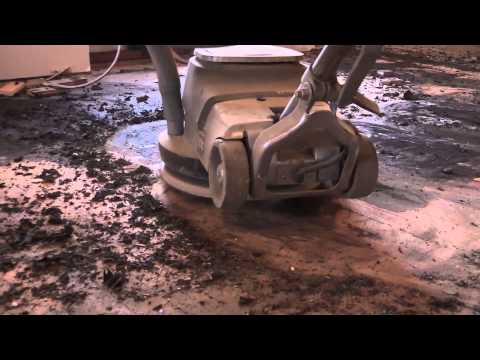 Mastic Removal on a Hardwood Floor | City Floor Supply