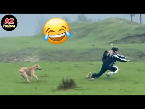 Best Funny Videos Of The Year - Fails & Hilarious Moments 😂🤣 Try Not To Laugh #20
