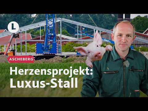 1 Mio. Euro für ein besseres Schweineleben | WDR Lokalzeit LandSchafft