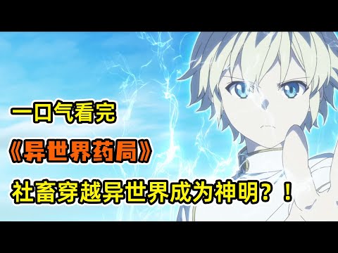 頂尖藥師意外猝死竟成為異世界神明？！拯救瀕死女王獲得領地！創立異世界新醫藥系統！一口氣看完《異世界藥局》合集！