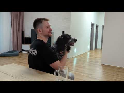 Из чего я буду строить новый дом? Фундамент, стены, отопление