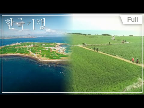 [Full] 한국기행 - 여행책에 없는 제주 1부 ~ 5부