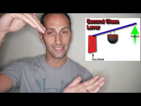 GCSE PE-  Levers and Mechanical Advantage