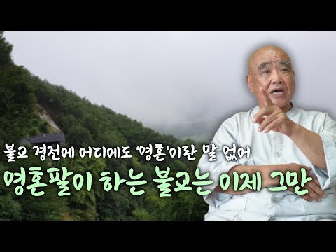 불교와 산신각, 용왕, 윤회는 별개 | 집착과 소유욕에서 벗어나려면 어떻게 해야 하나 | '산골 노승의 푸른 목소리' 향봉스님 11
